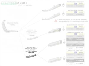 40654e84-5c89-49e1-acbc-54d1042cf3ce_Kawasaki_Z_750_R_11-148D2JR1laOYL7y_1280x1280