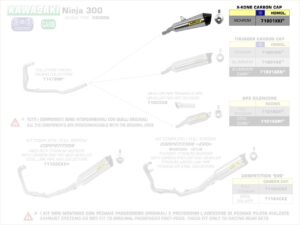 d2175bda-0856-4f56-b1a7-75e85967841c-Kawasaki-Ninja-300-13-161woEyCUlqrwpW-jpg-71801XKI-00_1280x1280